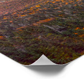 Uitzicht uit Mount Mansfield, Vermont, in het naja Poster (Hoek)