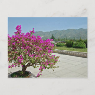 Uitzicht uit Museum, Xian, China Briefkaart
