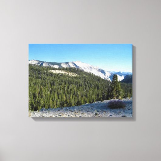 Uitzicht uit Olmstead Point, Yosemite, CA Canvas Afdruk (Voorkant)