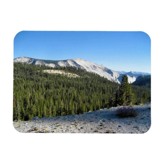 Uitzicht uit Olmstead Point, Yosemite, CA Magneet (Horizontaal)