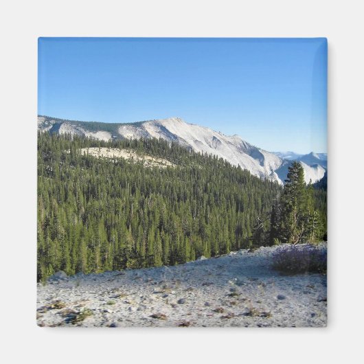 Uitzicht uit Olmstead Point, Yosemite, CA Magneet (Voorkant)