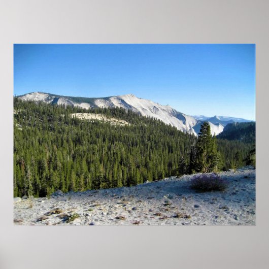 Uitzicht uit Olmstead Point, Yosemite, CA Poster (Voorkant)