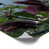 Uitzicht uit Santiago Atitlan, Guatemala Poster (Hoek)