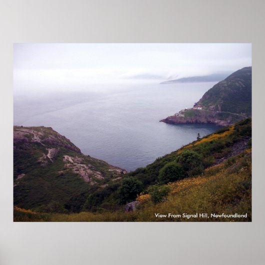 Uitzicht uit Signal Hill 1 Poster (Voorkant)