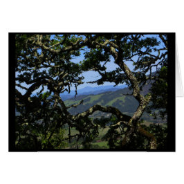 Uitzicht uit Sonoma Mountain