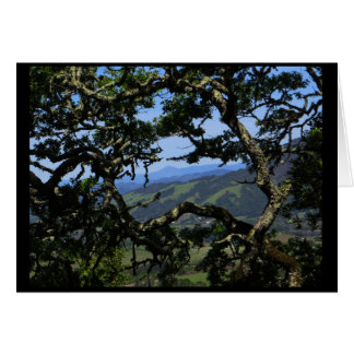 Uitzicht uit Sonoma Mountain