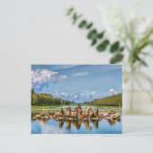 Uitzicht uit Versailles, Frankrijk, Briefkaart (Staand voorkant)