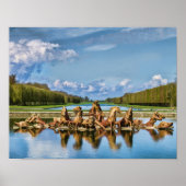 Uitzicht uit Versailles, Frankrijk, print (Voorkant)