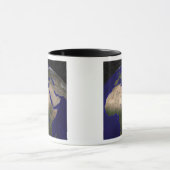 Uitzicht van Afrika, Europa, het Midden-Oosten en Mok (Midden)