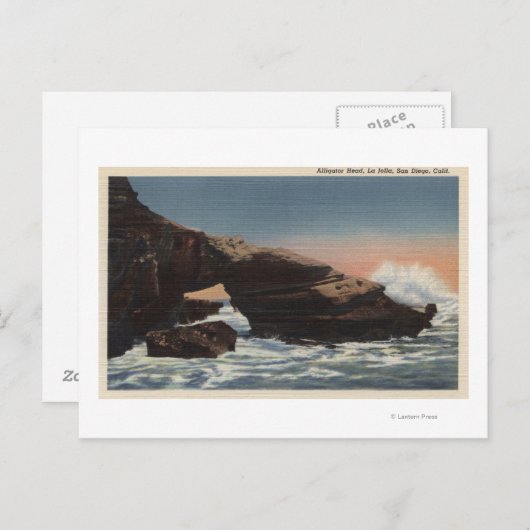 Uitzicht van Alligator Head, La Jolla Briefkaart (Voorkant / Achterkant)