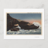 Uitzicht van Alligator Head, La Jolla Briefkaart (Voorkant)