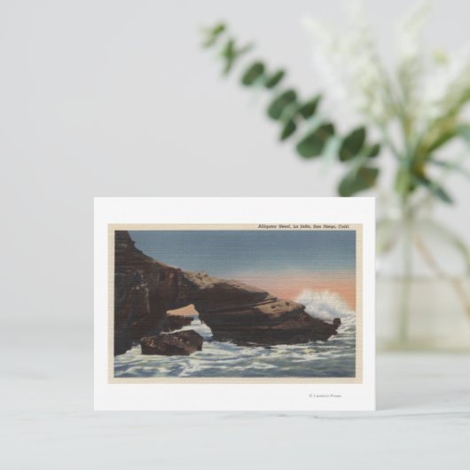 Uitzicht van Alligator Head, La Jolla Briefkaart (Staand voorkant)