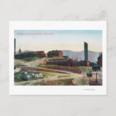 Uitzicht van Anaconda en Neversweat Mines Briefkaart (Voorkant)