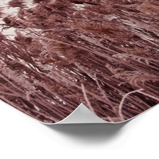 Uitzicht van Antelope Island - Utah - Poster, bevr Poster (Hoek)