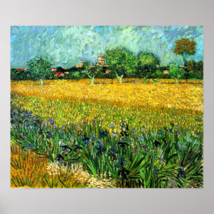Uitzicht van Arles met IRIES in de voorgrond Poster