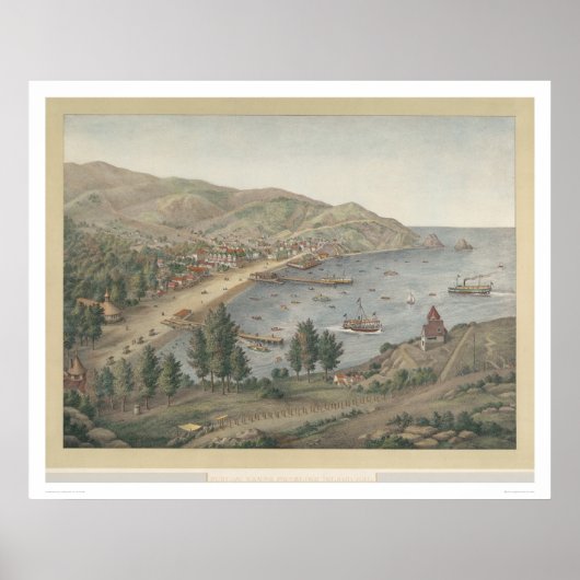 Uitzicht van Avalon Harbour, Santa Catalina Island Poster (Voorkant)