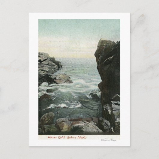 Uitzicht van Bakers Island, Whales Gulch Briefkaart (Voorkant)