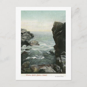 Uitzicht van Bakers Island, Whales Gulch Briefkaart