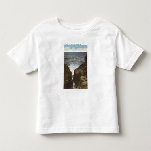 Uitzicht van Bald Head Cliffs, de Gorge Kinder Shirts (Voorkant)