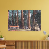 Uitzicht van Big Trees in Mariposa Grove Canvas Afdruk (Insitu (Woonkamer))