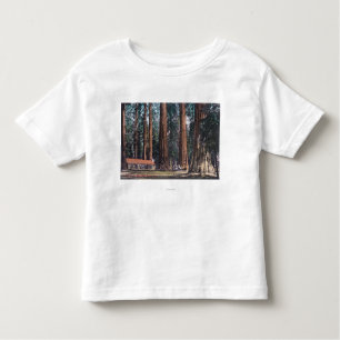 Uitzicht van Big Trees in Mariposa Grove Kinder Shirts