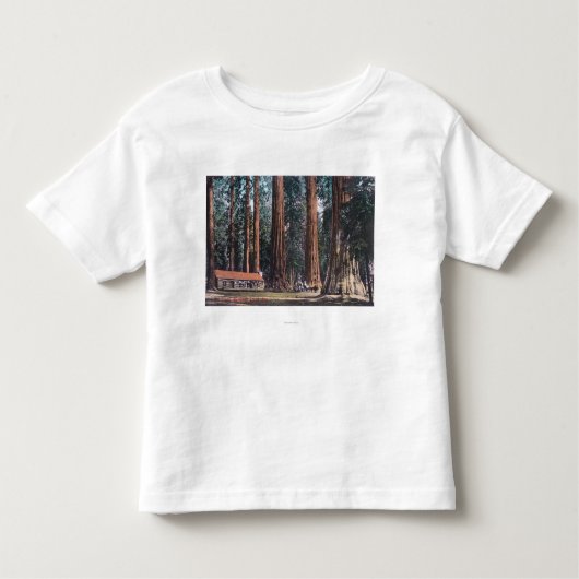 Uitzicht van Big Trees in Mariposa Grove Kinder Shirts (Voorkant)