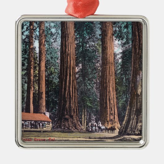 Uitzicht van Big Trees in Mariposa Grove Metalen Ornament (Voorkant)