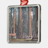 Uitzicht van Big Trees in Mariposa Grove Metalen Ornament (Links)