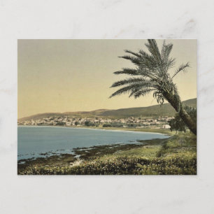 Uitzicht van bijna voet aan de Mount Carmel, Chaif Briefkaart