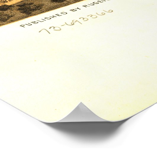 Uitzicht van Bird's Eye van Naperville Illinois (1 Poster