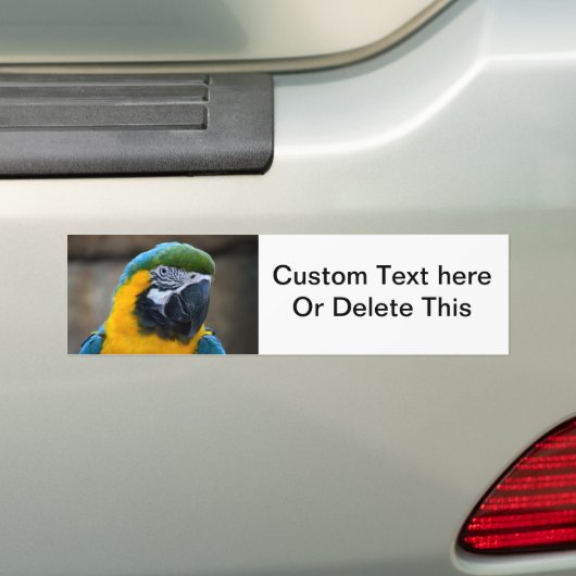 uitzicht van blauwe en gouden papegaaien bumpersticker (Op auto)