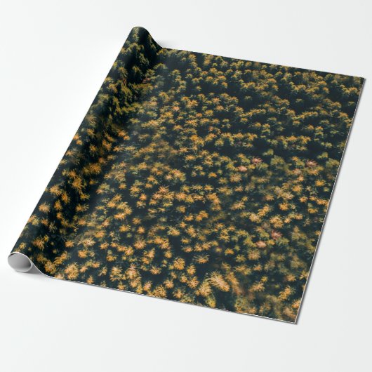 Uitzicht van bomen cadeaupapier (Uitgerold)