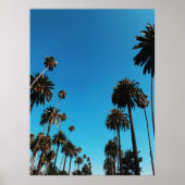 Uitzicht van bomen poster (Voorkant)