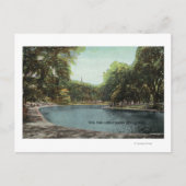 Uitzicht van Boston Common Frog Pond # 2 Briefkaart (Voorkant)