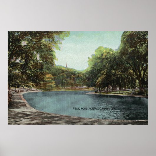 Uitzicht van Boston Common Frog Pond # 2 Poster (Voorkant)