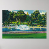 Uitzicht van Boston Common Frog Pond Poster (Voorkant)