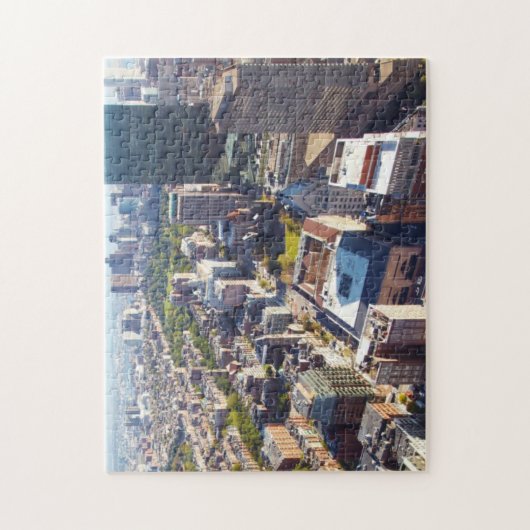 Uitzicht van Boston Legpuzzel (Verticaal)