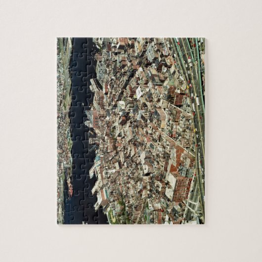 Uitzicht van Boston, MA Legpuzzel (Verticaal)