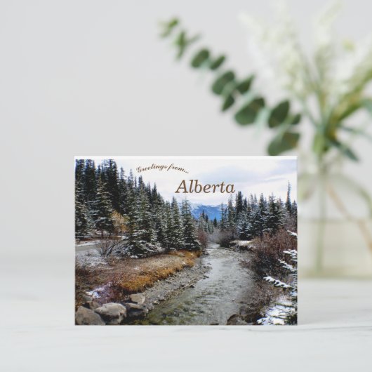 Uitzicht van Bow River Alberta Briefkaart (Staand voorkant)