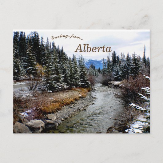 Uitzicht van Bow River Alberta Briefkaart (Voorkant)
