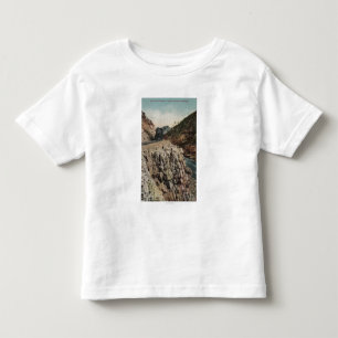 Uitzicht van Box Canon Train Kinder Shirts