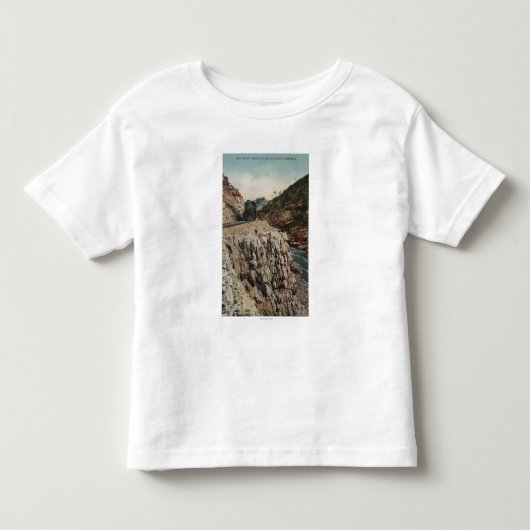 Uitzicht van Box Canon Train Kinder Shirts (Voorkant)