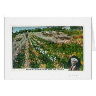 Uitzicht van Burbanks Experimental Boerderij