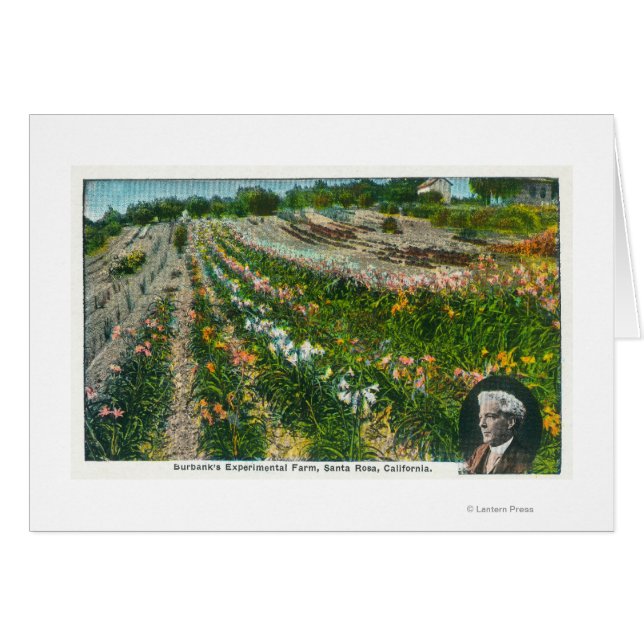 Uitzicht van Burbanks Experimental Boerderij (Voorkant Horizontaal)