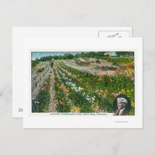 Uitzicht van Burbanks Experimental Boerderij Briefkaart (Voorkant / Achterkant)