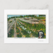 Uitzicht van Burbanks Experimental Boerderij Briefkaart (Voorkant)