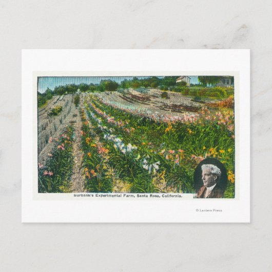 Uitzicht van Burbanks Experimental Boerderij Briefkaart (Voorkant)