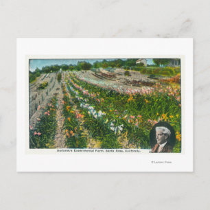 Uitzicht van Burbanks Experimental Boerderij Briefkaart