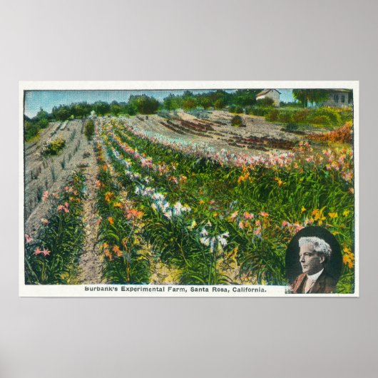 Uitzicht van Burbanks Experimental Boerderij Poster (Voorkant)