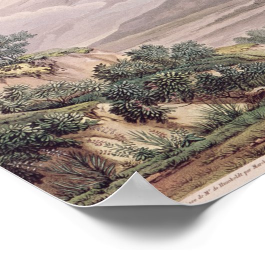 Uitzicht van Cajambe Poster (Hoek)